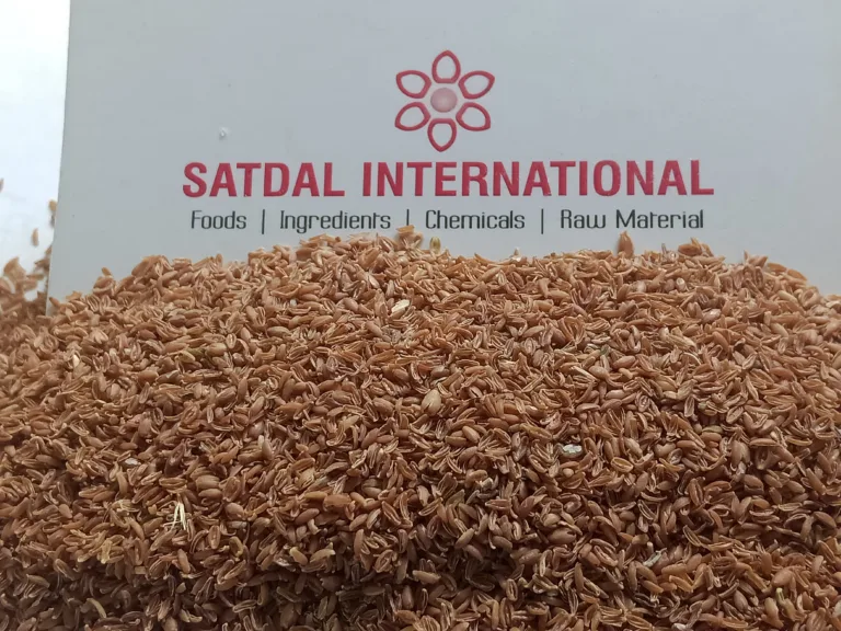 Raw whole psyllium seeds Plantago ovata bulk export India