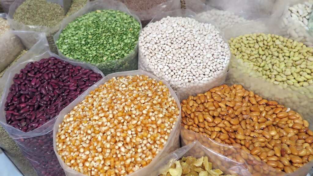Retort Export grain,corn and beans