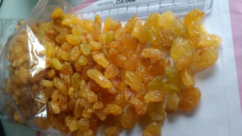 Golden Raisins: Find Top Exporters for Premium Golden Raisin from India & Enjoy This Sun-Dried Fruits