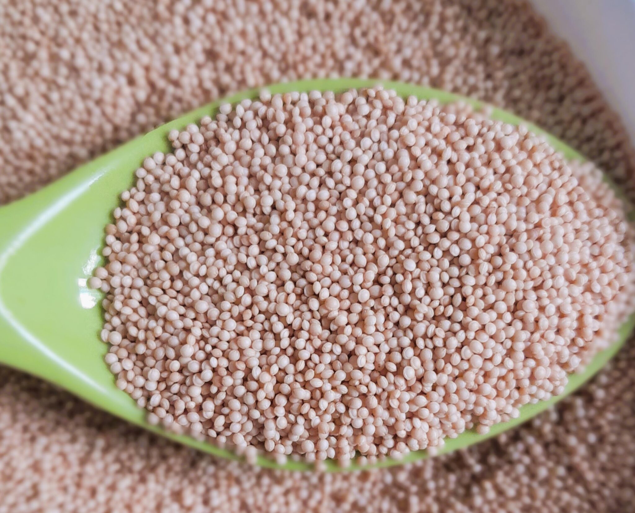Amaranth Seed