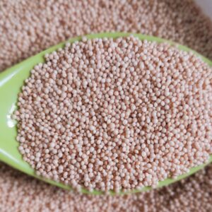 Amaranth: The Tiny Superfood Seed with Mighty Benefits