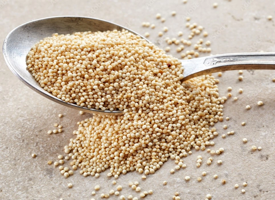 Global food manufacturers sourcing amaranth grain from India