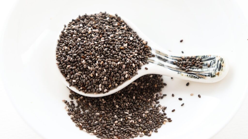 Chia seeds supplier from India Satdal International