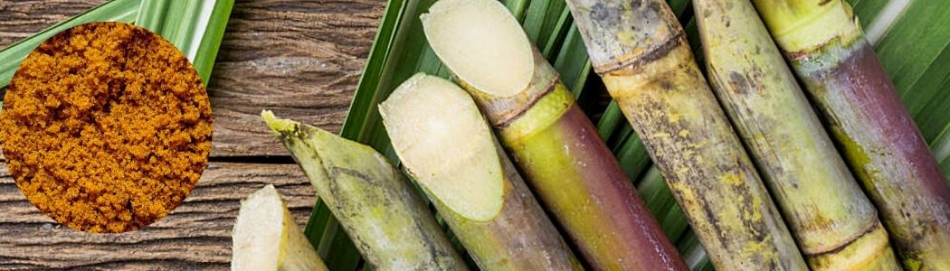 Jaggery Powder_SugarCane