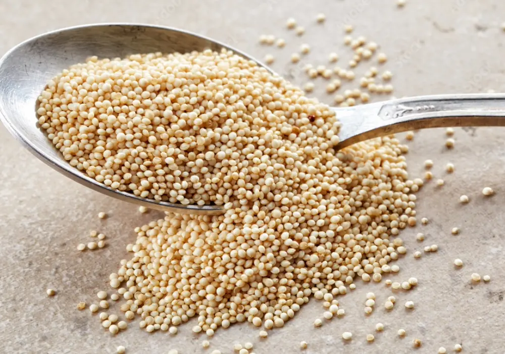 Bulk amaranth seeds exporter from India supplying premium amaranth grains