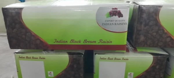 Raisin Packaging Options for Export: Practical Information on Raisin Export Packaging