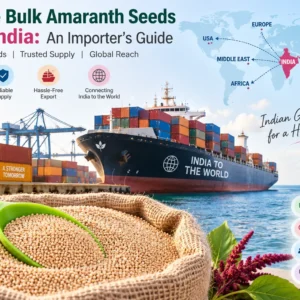 How to Source Bulk Amaranth Seeds from India: An Importer’s Guide