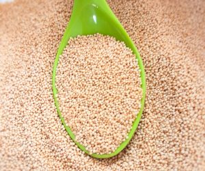 Amarath Seeds Amarath Seeds
